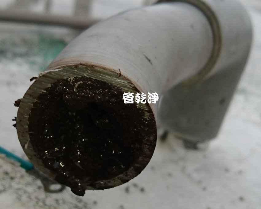 我家有青草茶? 新竹 竹北 長青路 清洗水管