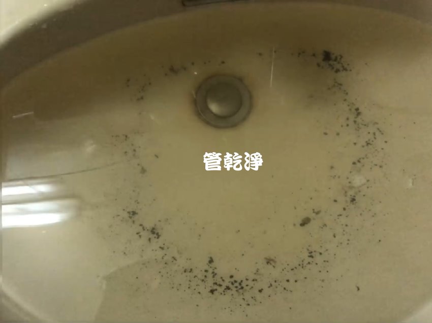 透天水塔沒水? 新竹 湖口 和興路 水管清洗