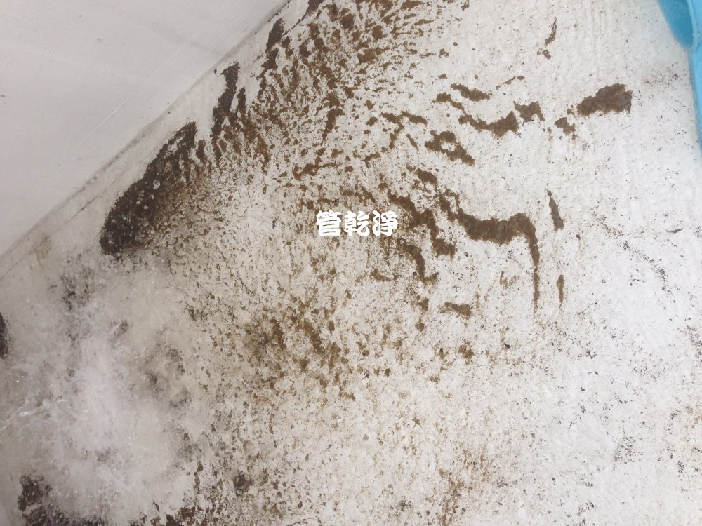 新竹 虎林街 洗水管