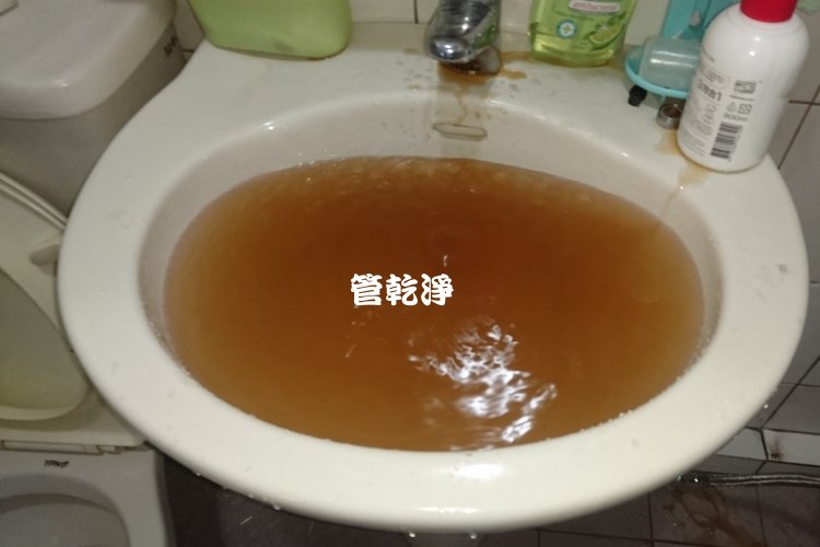 新店 大豐路 水管清洗