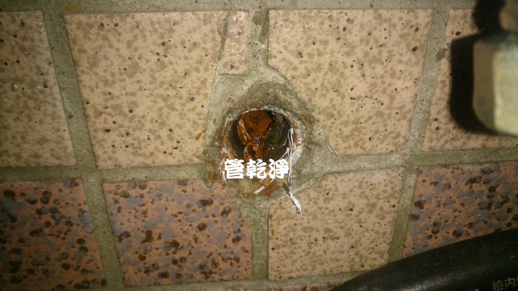 台北新莊 洗水管 我家水管裡有貴金屬