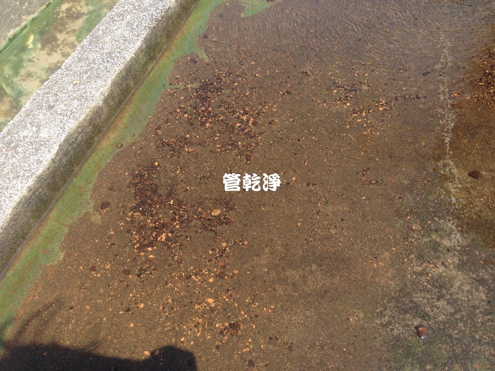 桃園 中壢 月眉一路 清洗水管