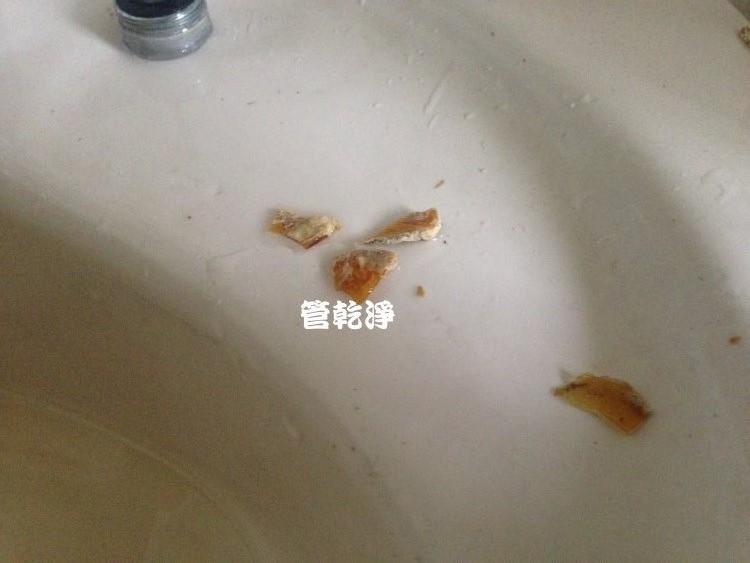 新竹 新豐 忠孝一街 洗水管